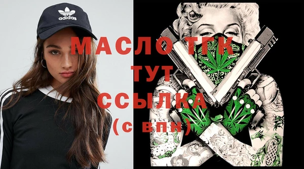гидра Елабуга