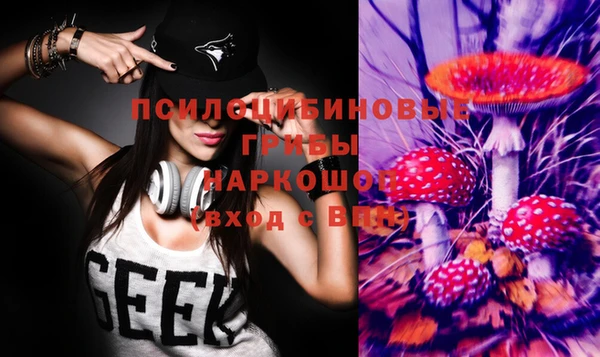 прущий лед Елизово