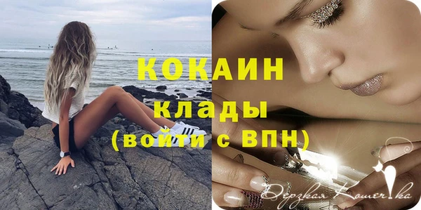 гидра Елабуга