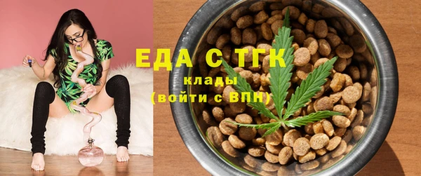 гидра Елабуга