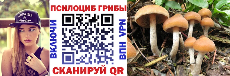Купить Рыльск Галлюциногенные грибы ЛСД